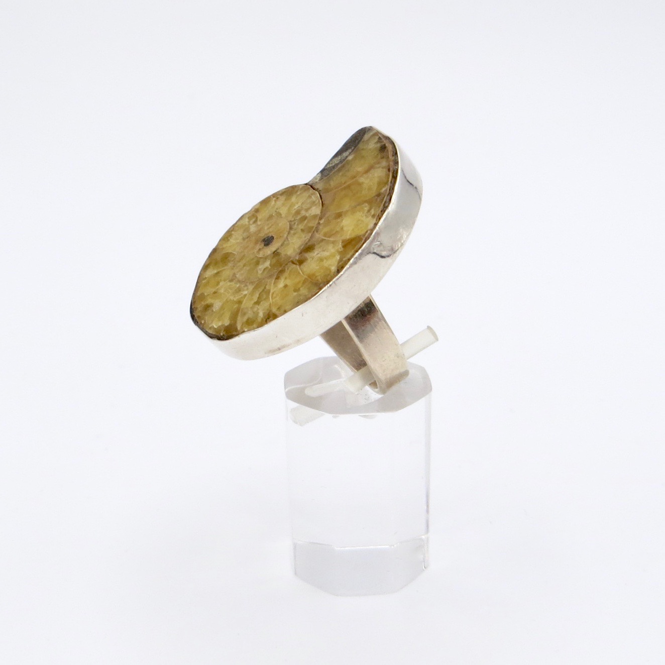 Ammonite Ring