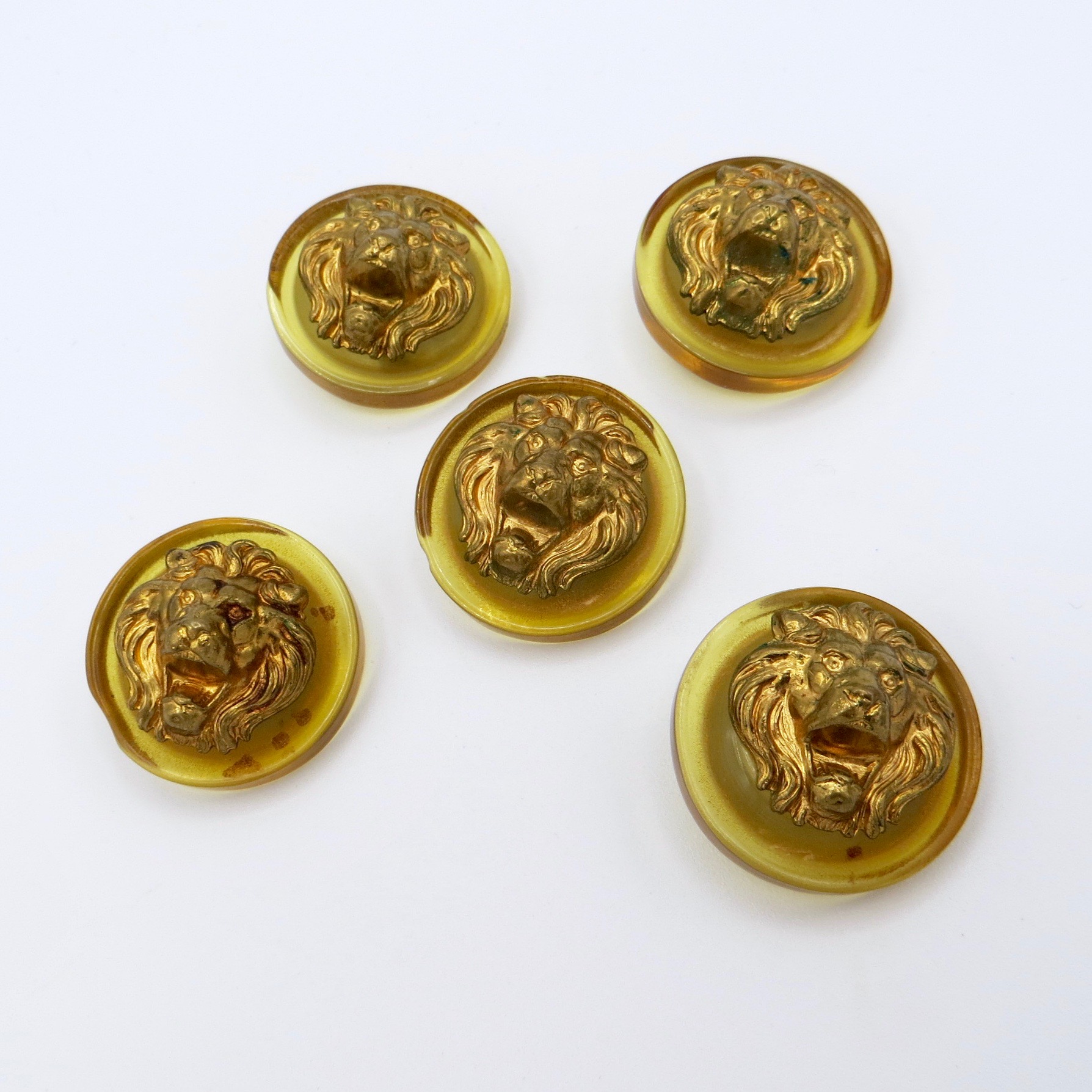 Lion Lucite Buttons