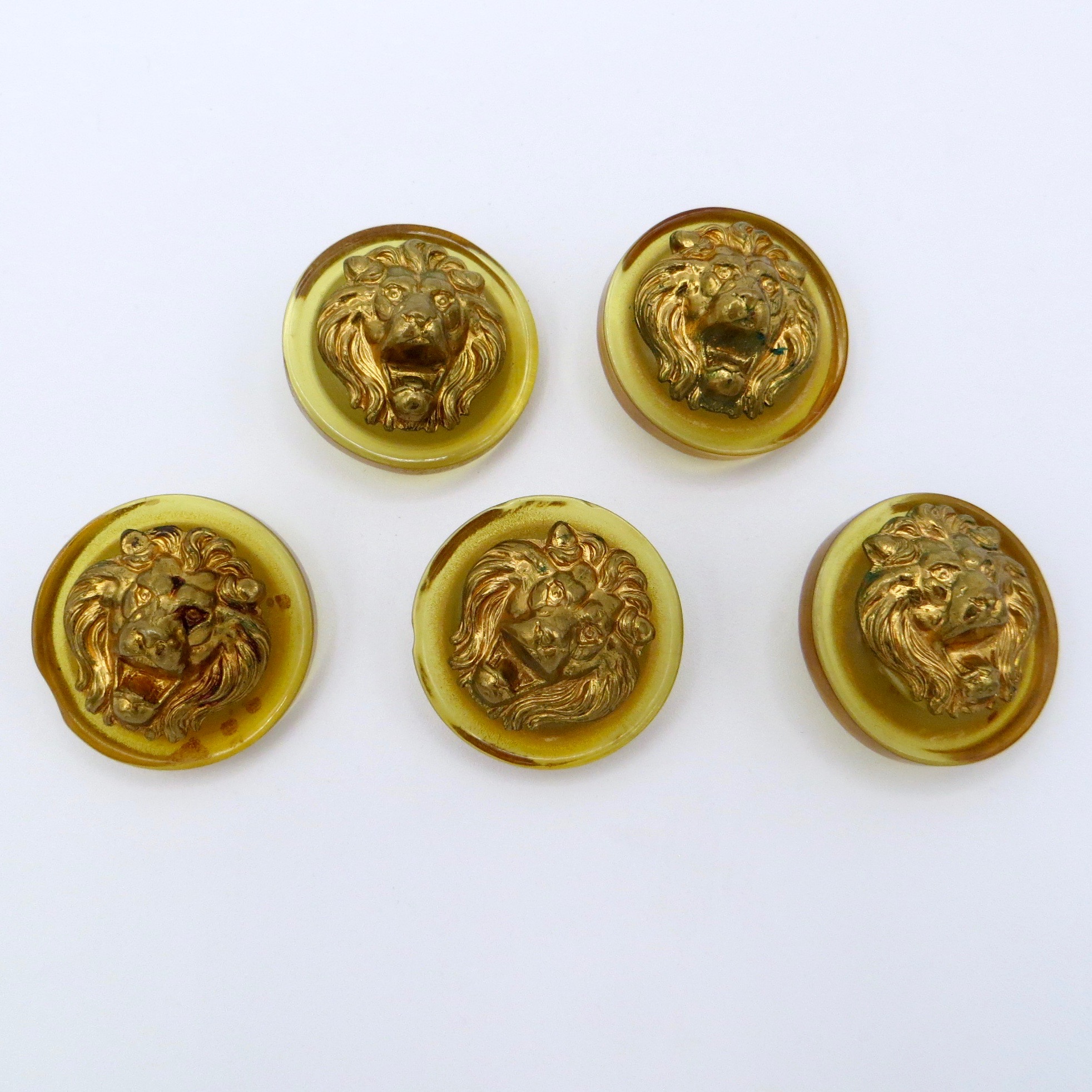 Lion Lucite Buttons