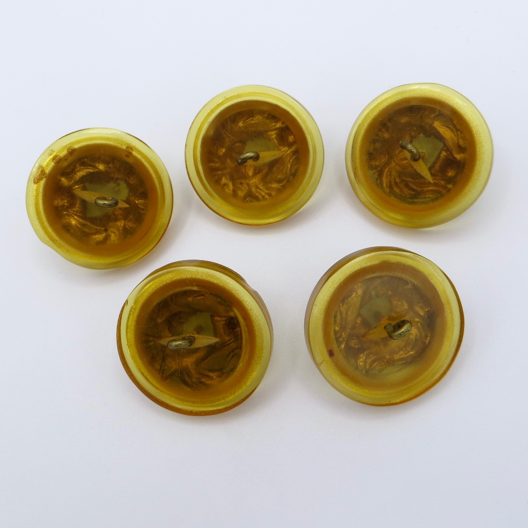 Lion Lucite Buttons