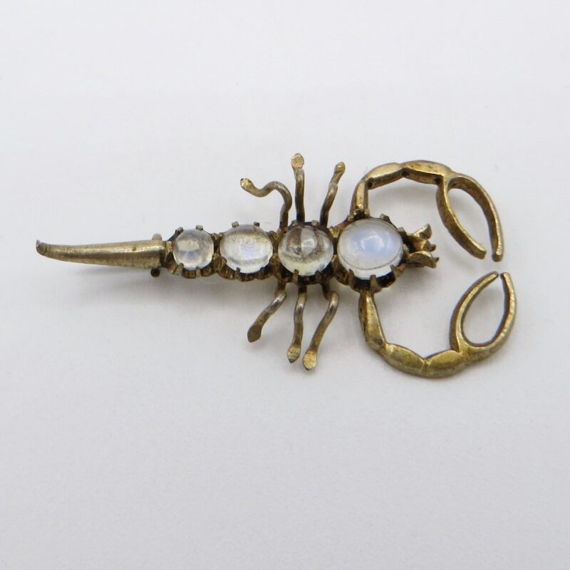 Silver and Moonstone Scorpion Brooch