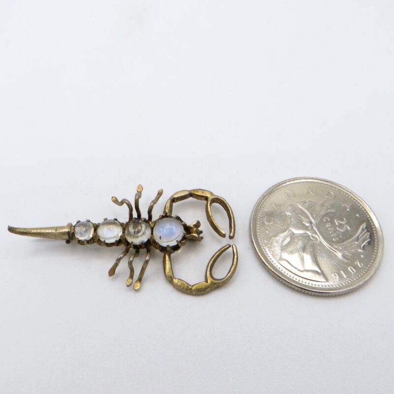 Silver and Moonstone Scorpion Brooch