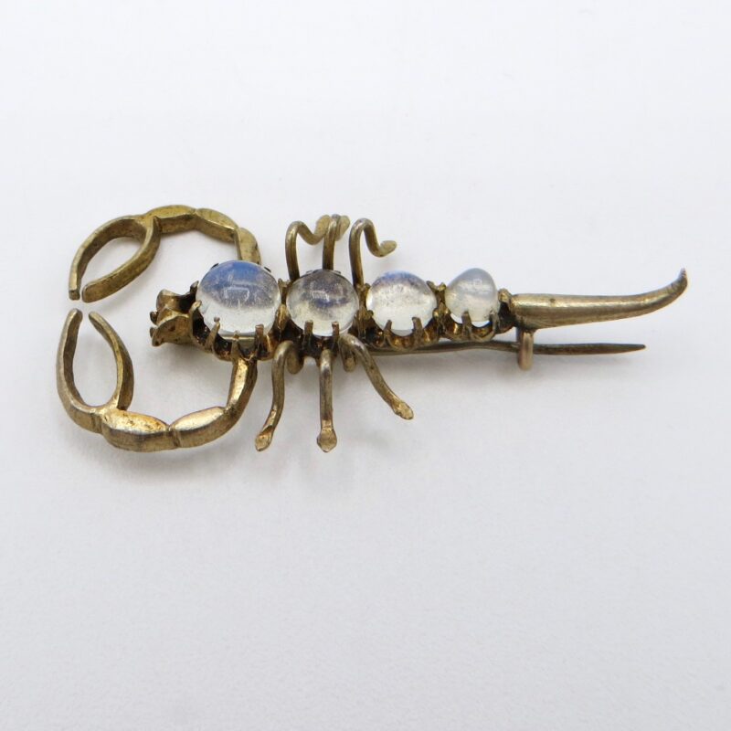 Silver and Moonstone Scorpion Brooch