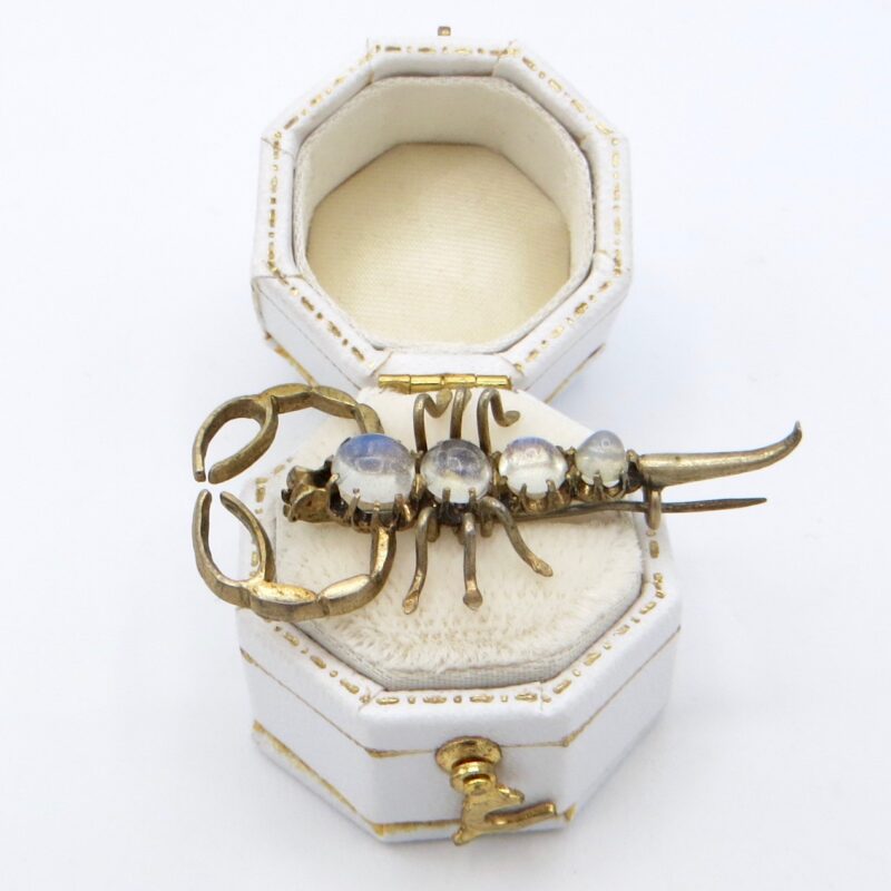 Silver and Moonstone Scorpion Brooch