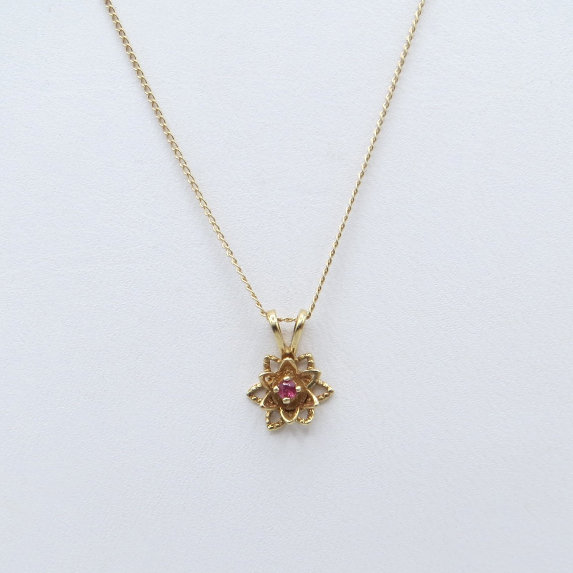 Dainty 14kt Gold and Ruby Necklace